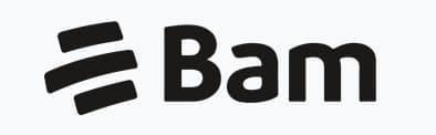 Bam logo